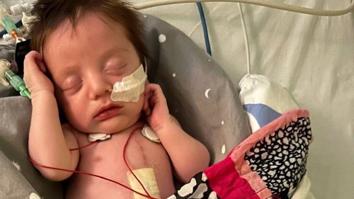 «Ich weiss nicht, wie wir weiterleben sollen»: Eltern kämpfen seit einem Jahr um die Organe ihres toten Babys