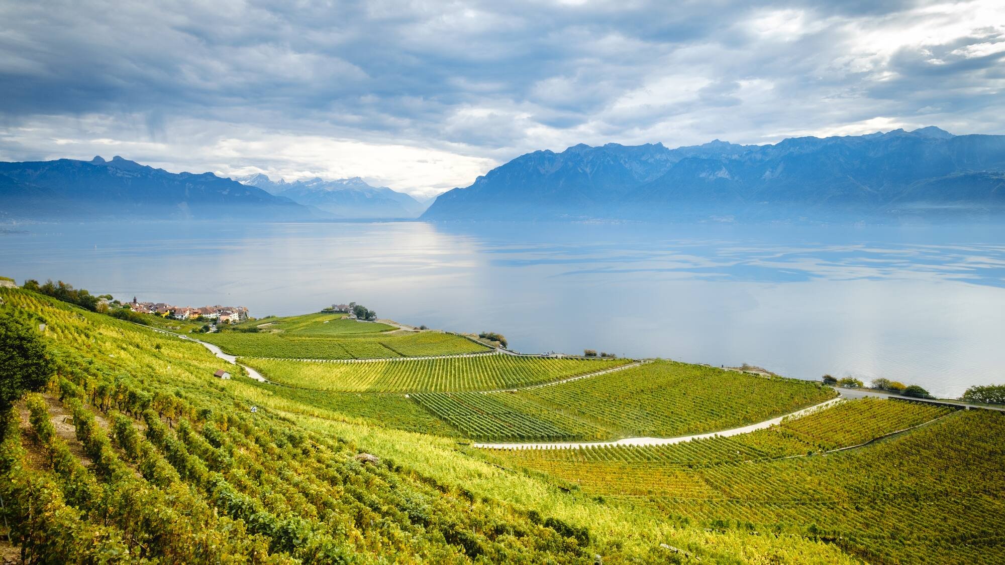 Les vignerons vaudois luttent contre les vins étrangers