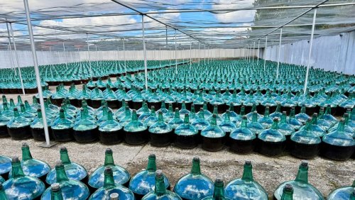 Wein aus Glasballons: Dorado — das vergessene Gold Kastiliens