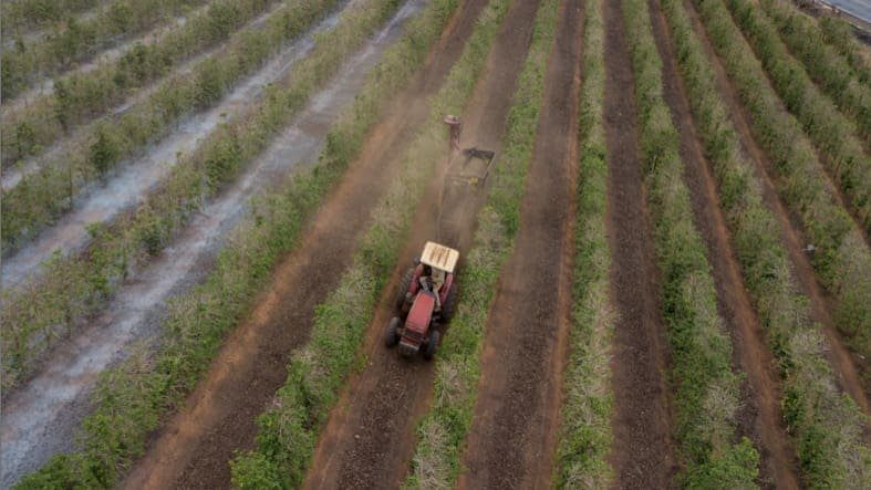 Des paysans déposent plainte contre Syngenta à Bâle