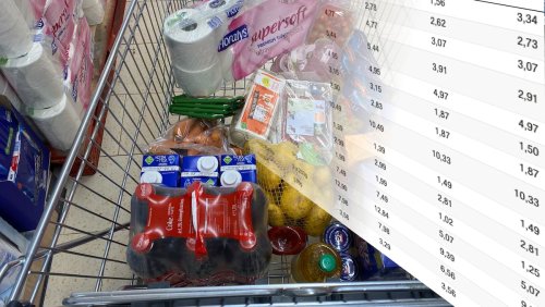 Lohnt es sich trotz neuen Regeln noch?: So viel billiger ist ein Familieneinkauf in Deutschland wirklich