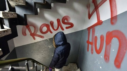 Bussen zu tief?: Solothurn und Aargau wollen schärferes Verbot von Nazi-Symbolen