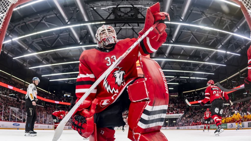 Hockey Suisse et international