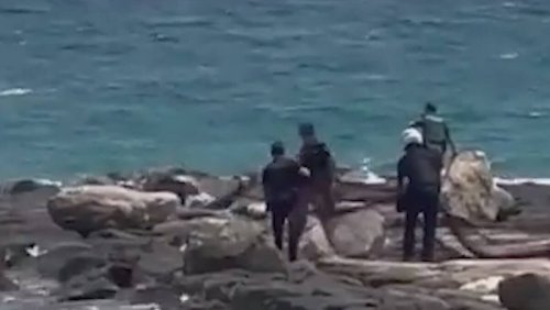 Verrückte Szenen an der Costa Blanca: Wildschwein verletzt zwei Beamte am Strand