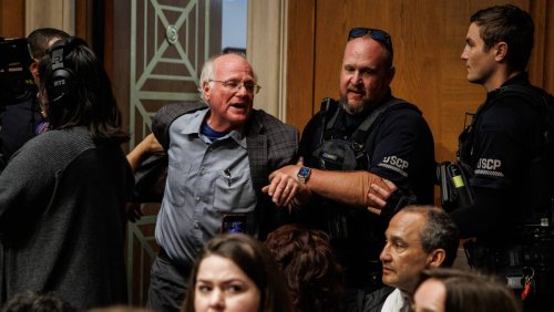 Irruption en pleine séance: Le boss de Ben & Jerry's expulsé du Congrès américain