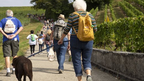 Mehr Zins für Versicherte! So geht es unseren Pensionskassen