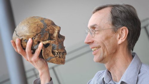 Il a décrypté le génome de Néandertal: Le Prix de médecine au paléogénéticien suédois Svante Pääbo