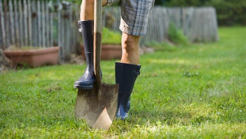 Archäologische Schätze: Gehört mir, was ich in meinem Garten finde?