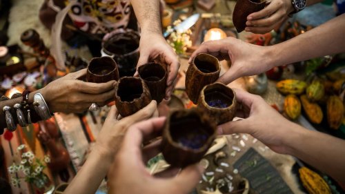 Swissmedic prüft Ayahuasca-Angebot: Zürcher Lehrer plant riskante Drogenreise nach Brasilien