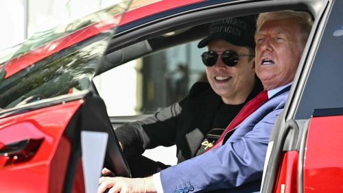 Trump hilft Elon Musk aus: Tesla-Aktie legt um 24 Prozent zu – das steckt dahinter