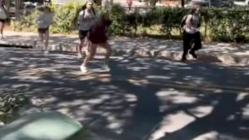 Vier Personen im Spital: Schüsse an Universität in Florida