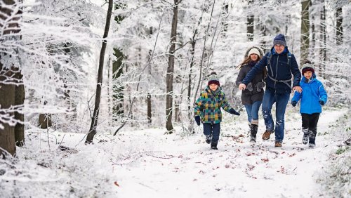Die besten Tipps: Das sind die schönsten Familien–Wanderwege im Winter