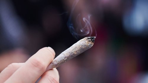 Quantités limitées: Feu vert du Bundestag à la légalisation du cannabis récréatif