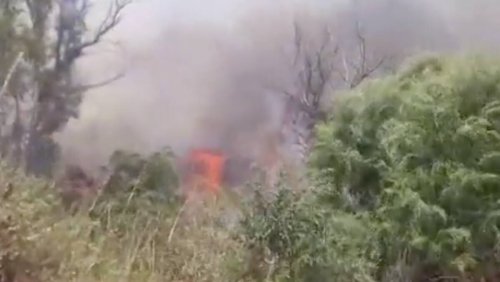 Gemeinden evakuiert, landesweite Mobilisierung angekündigt: Riesiger Waldbrand in Israel ausgebrochen