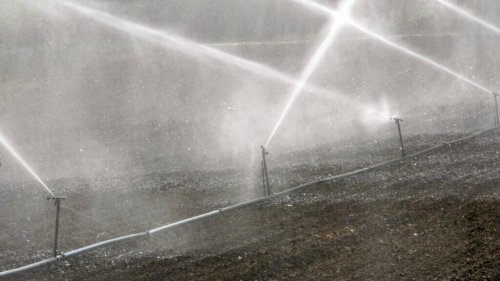 Umwelt: Ringen um knappes Wasser in Frankreich hat begonnen
