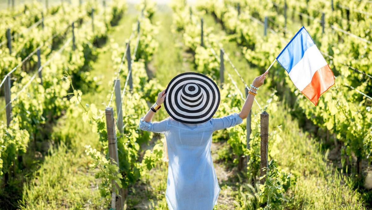 Cinq régions qui expliquent tout: «La France est mon pays viticole préféré»