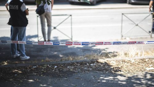 Animaux sains et saufs: La foudre frappe un zoo des Bouches-du-Rhône, 13 personnes blessées