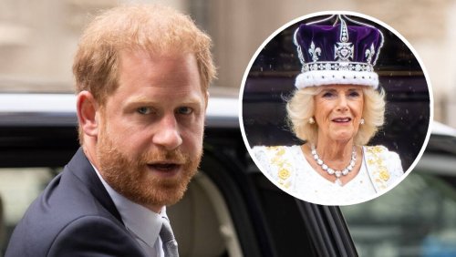 Königin Camilla, Prinz Harry und Eltern von Prinzessin Kate: Der Ärger bei den Royals reisst nicht ab