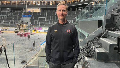 So bereitete sich neuer Trainer Rönnberg auf Gottéron vor: «Statt Netflix habe ich mir Fribourg-Spiele angeschaut»