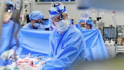 Une opération historique: Cette transplantation donne de l'espoir à des milliers de personnes atteintes du cancer