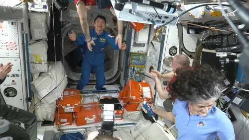 «C'est un jour merveilleux!»: Un vaisseau de Space X sauve les astronautes bloqués dans l'ISS