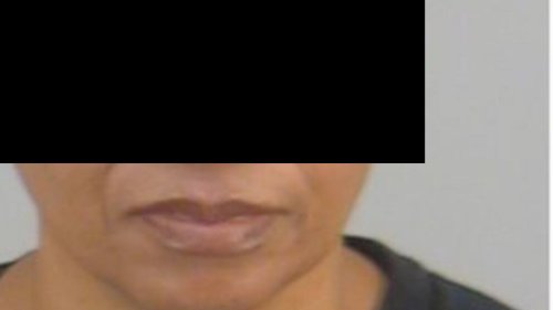 Weil er nicht mitfliegen durfte: Alison L. (57) ertränkte Hund im Flughafen-WC
