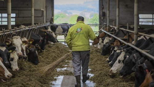 L'agriculture BIO stagne pour la première fois en 15 ans