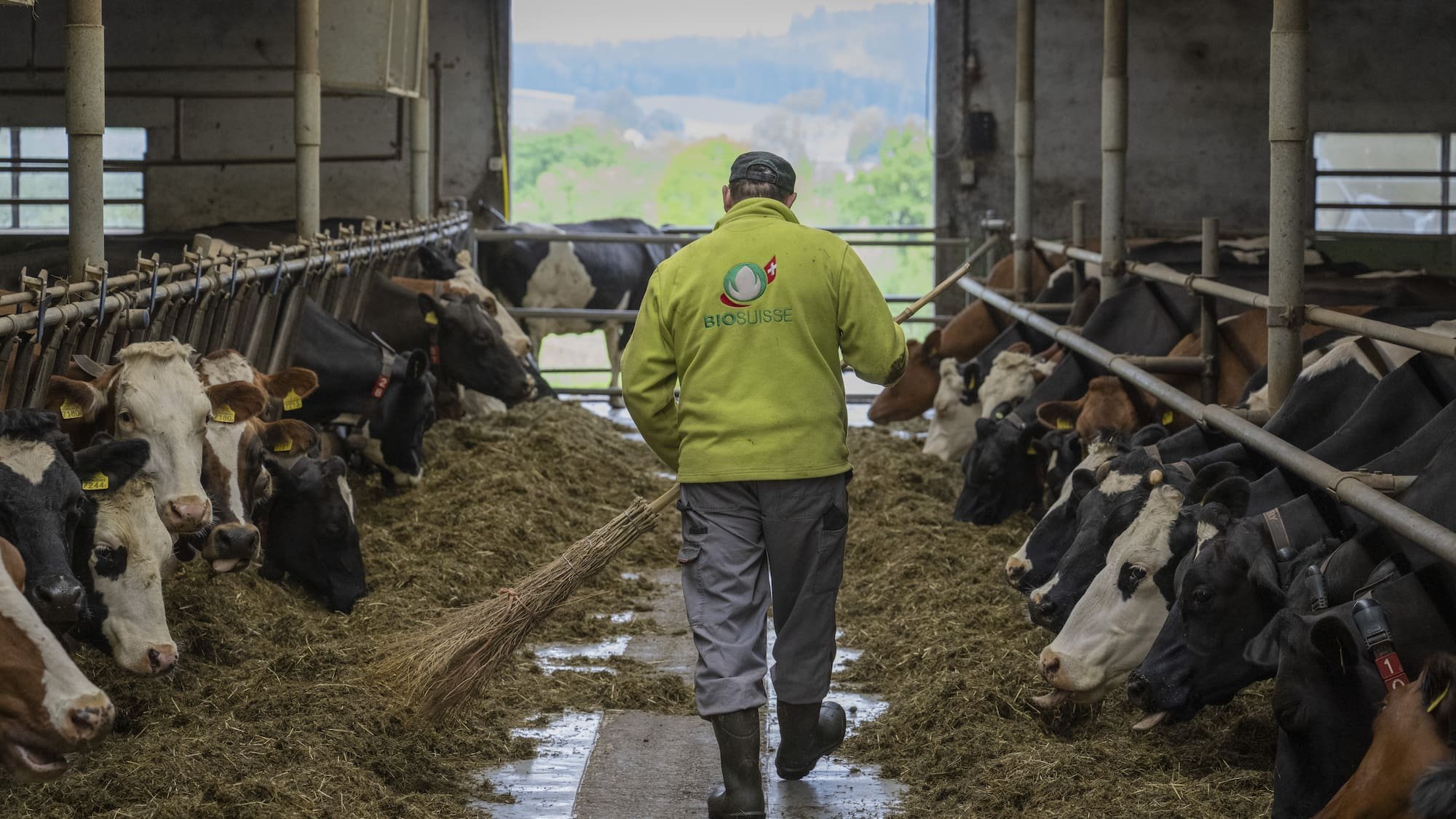 L’agriculture BIO stagne pour la première fois en 15 ans