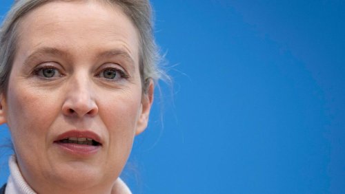 Leser zu Alice Weidel: «In Deutschland aufmischen und schreien, aber hier leben?»