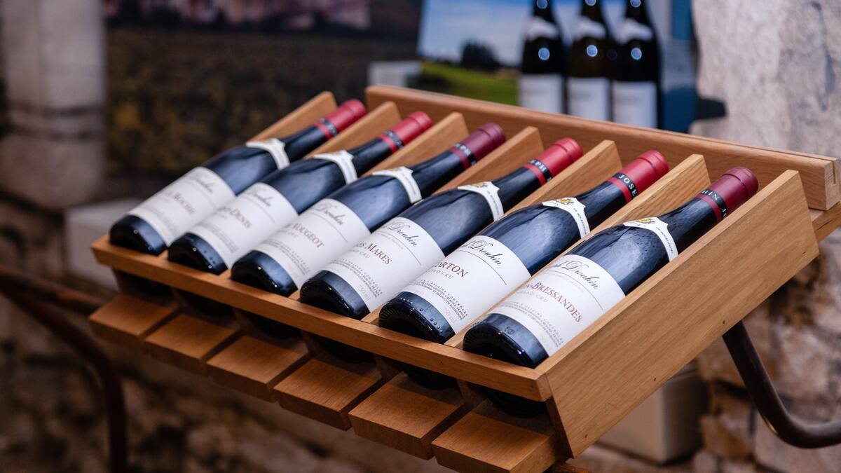 Les meilleurs hors grands crus: Cinq merveilles viticoles de Bourgogne