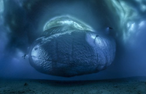 Laurent Ballesta: « La photographie sous-marine est devenue une passion obsédante »