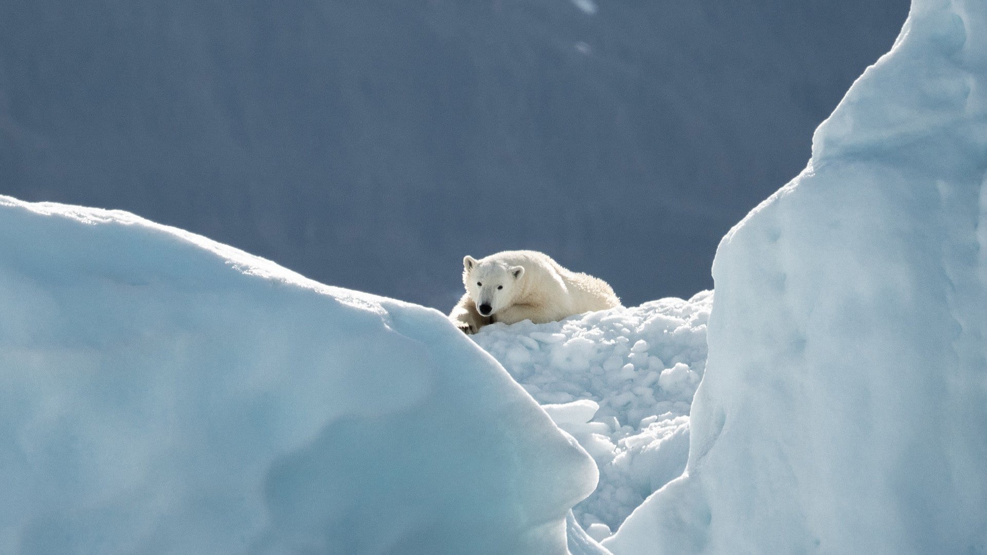 COLUMN – We’re Still Getting Climate Change Photography Wrong