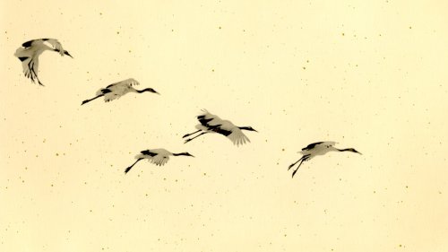 Yamamoto Masao: la réédition d’un chef-d’œuvre
