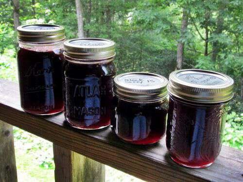 Blackberry Jelly | Blind Pig and The Acorn