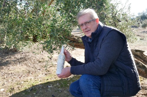 Cómo una cooperativa de Baeza (Jaén) ha logrado hacer el mejor aceite de oliva del mundo: “Estos aceites antes no existían”