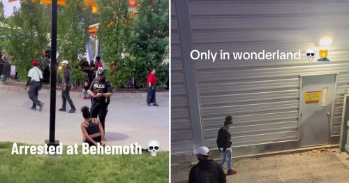 More arrests during another chaotic weekend at Canada's Wonderland