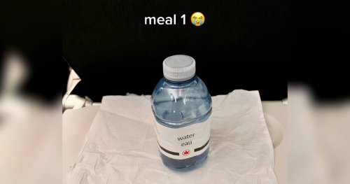 Toronto woman shows off hilarious 'vegan meal' served aboard Air Canada flight