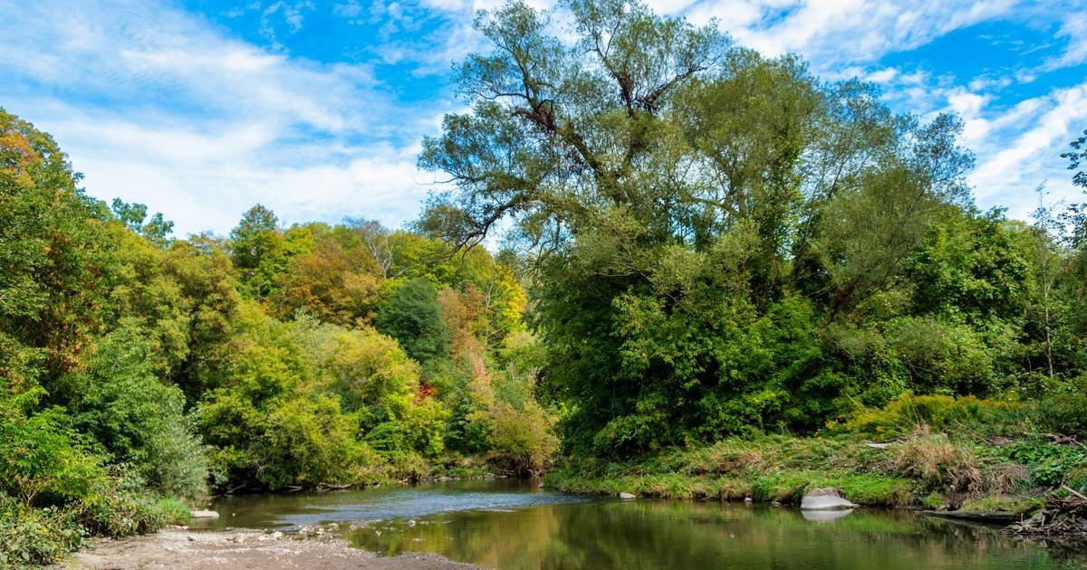 Stretch of Toronto river to be closed off to public for over 2 years