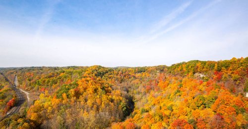 5 hiking trails near Toronto to add to your fall bucket list