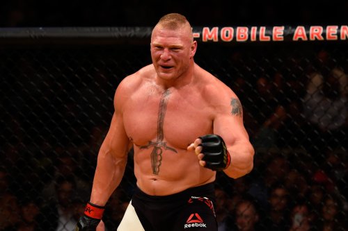 ‘Big human’… Brock Lesnar’s sheer size left opponent in awe before quick knockout win
