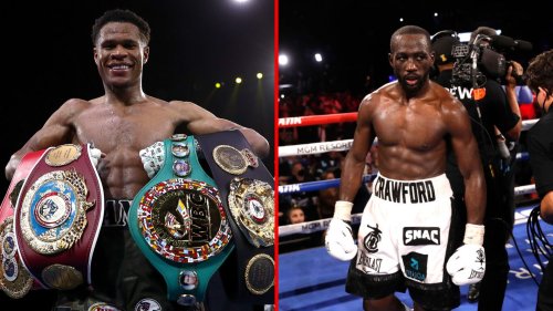 Fighter Devin Haney dominated badly hurt Terence Crawford with a massive shot during a crazy fight