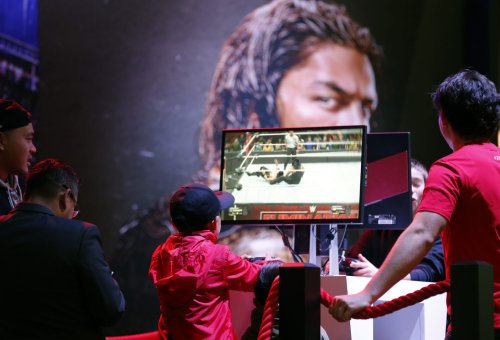 'I could have bought a house': Fired star was paid $86,000 for appearing in WWE video game