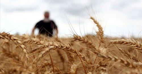 Rusya tahıl koridoru anlaşmasına katılımını askıya aldı