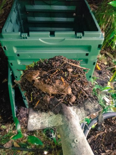 Semine, orto e compost dalla A alla zeta | BLOSSOM ZINE BLOG