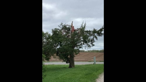 National Weather Service confirms tornado hit the metro-east on Easter night