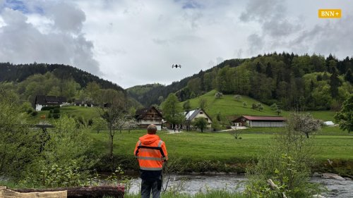 Drohnenjagd auf den Knöterich: Was man gegen die invasive Art tun kann