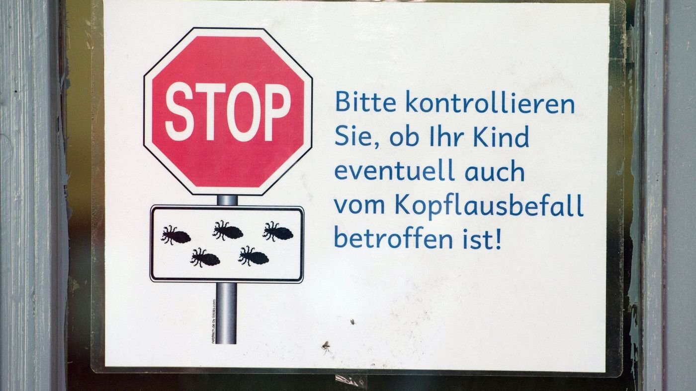 Kopfläuse im Winter – Darum steigen die Zahlen
