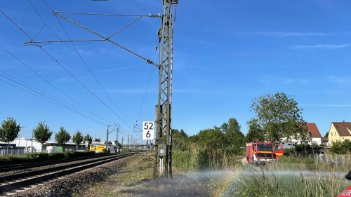 So ein Pechvogel! Rabe sorgt in Bruchsal für Feuerwehreinsatz