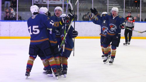 Für die Pforzheim Bisons gilt es, Weichen für die neue Saison zu stellen