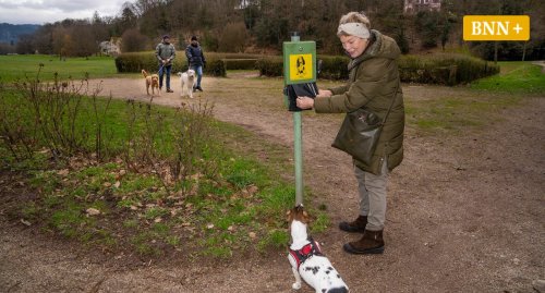 Ärger um Hundekot: In Baden-Baden stinkt es vielen zum Himmel